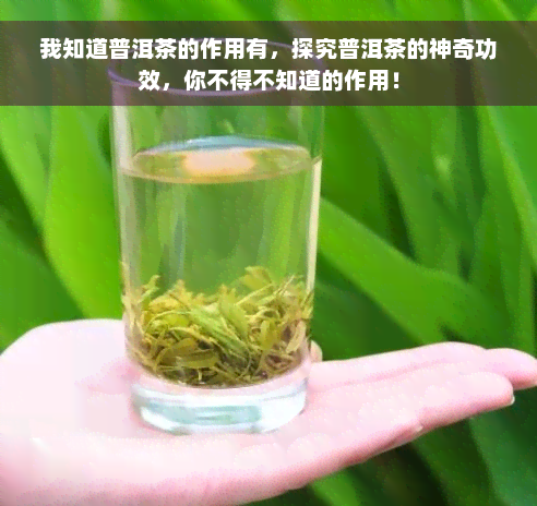 我知道普洱茶的作用有，探究普洱茶的神奇功效，你不得不知道的作用！