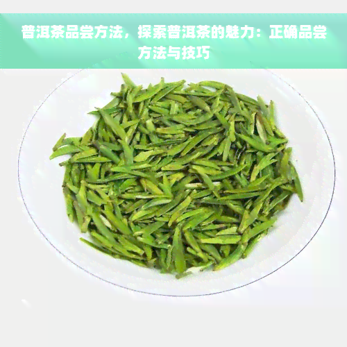 普洱茶品尝方法，探索普洱茶的魅力：正确品尝方法与技巧