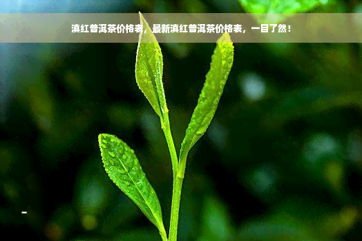 滇红普洱茶价格表，最新滇红普洱茶价格表，一目了然！