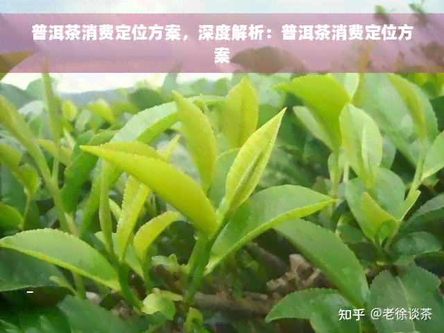 普洱茶消费定位方案，深度解析：普洱茶消费定位方案