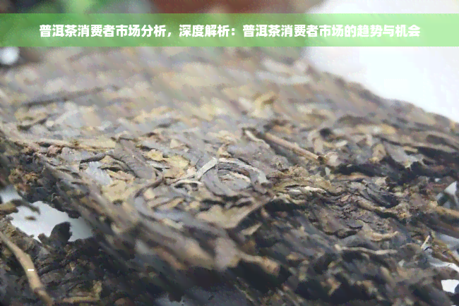 普洱茶消费者市场分析，深度解析：普洱茶消费者市场的趋势与机会