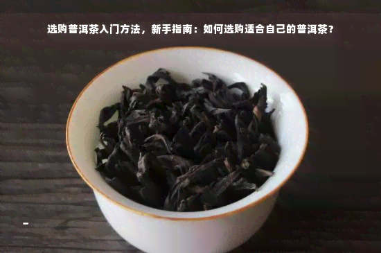 选购普洱茶入门方法，新手指南：如何选购适合自己的普洱茶？