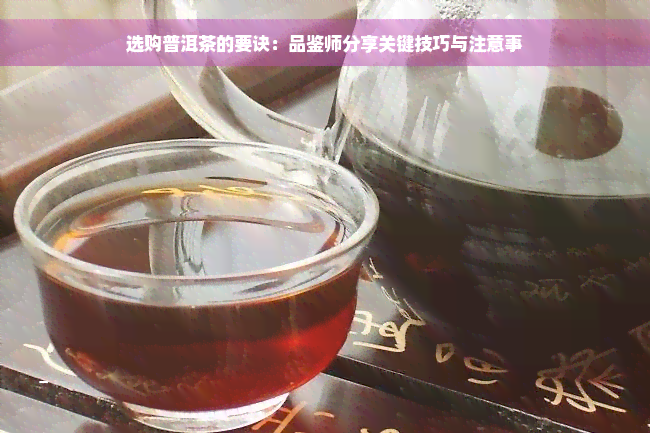 选购普洱茶的要诀：品鉴师分享关键技巧与注意事