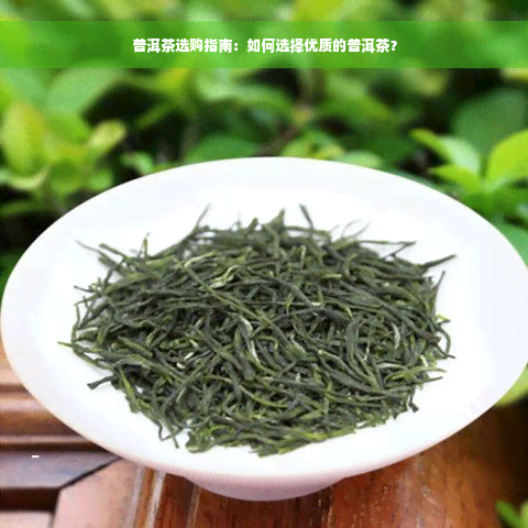 普洱茶选购指南：如何选择优质的普洱茶？