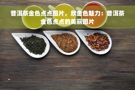 普洱茶金色点点图片，欣金色魅力：普洱茶金色点点的美丽图片