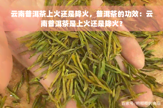 云南普洱茶上火还是降火，普洱茶的功效：云南普洱茶是上火还是降火？