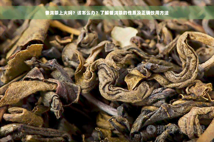 普洱茶上火吗？该怎么办？了解普洱茶的性质及正确饮用方法