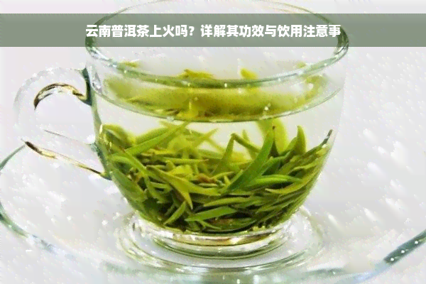 云南普洱茶上火吗？详解其功效与饮用注意事