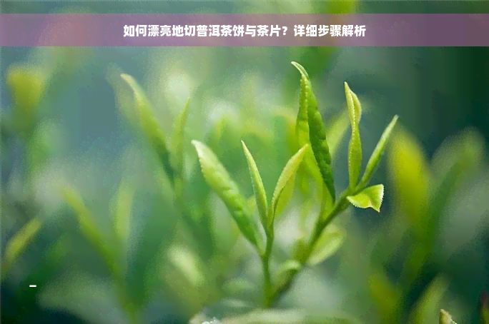 如何漂亮地切普洱茶饼与茶片？详细步骤解析