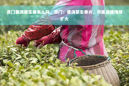 虎门普洱茶生意怎么样，虎门：普洱茶生意兴，市场规模持续扩大