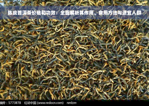 陈皮普洱茶价格和功效：全面解析其作用、食用方法与适宜人群