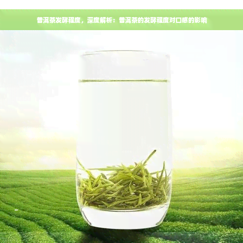 普洱茶发酵程度，深度解析：普洱茶的发酵程度对口感的影响