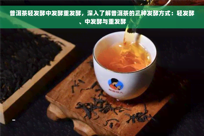 普洱茶轻发酵中发酵重发酵，深入了解普洱茶的三种发酵方式：轻发酵、中发酵与重发酵