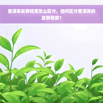 普洱茶发酵轻重怎么区分，如何区分普洱茶的发酵程度？