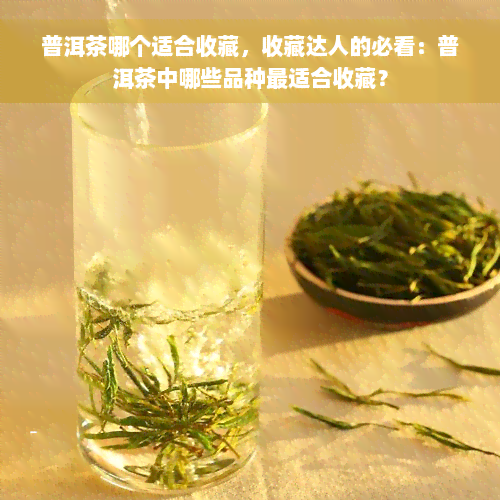 普洱茶哪个适合收藏，收藏达人的必看：普洱茶中哪些品种最适合收藏？