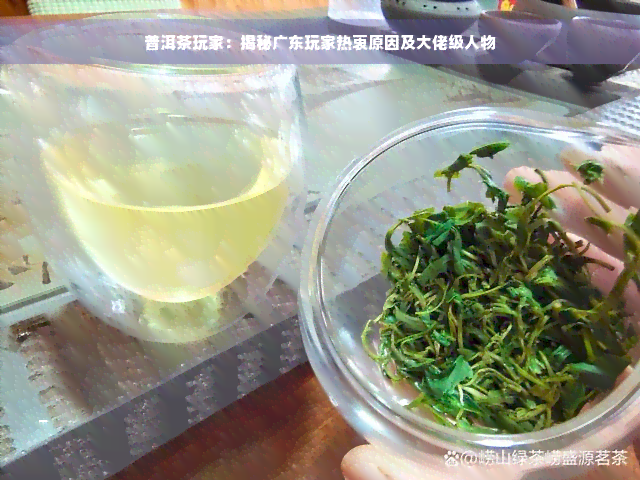 普洱茶玩家：揭秘广东玩家热衷原因及大佬级人物