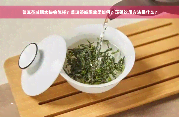 普洱茶减肥太快会怎样？普洱茶减肥效果如何？正确饮用方法是什么？