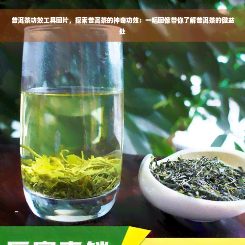 普洱茶功效工具图片，探索普洱茶的神奇功效：一幅图像带你了解普洱茶的健益处