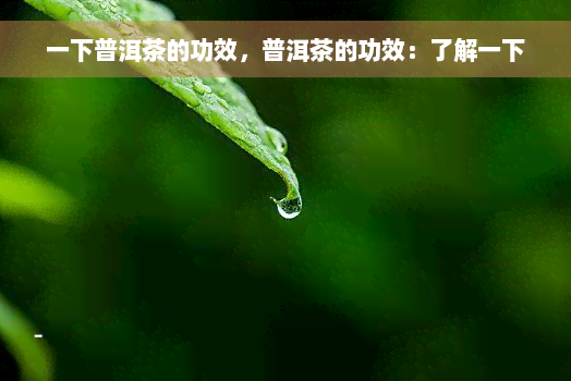 一下普洱茶的功效，普洱茶的功效：了解一下