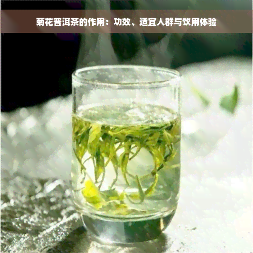 菊花普洱茶的作用：功效、适宜人群与饮用体验