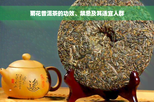 菊花普洱茶的功效、禁忌及其适宜人群