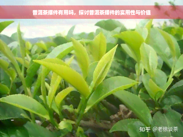 普洱茶摆件有用吗，探讨普洱茶摆件的实用性与价值