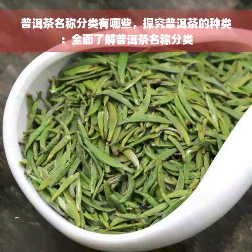 普洱茶名称分类有哪些，探究普洱茶的种类：全面了解普洱茶名称分类