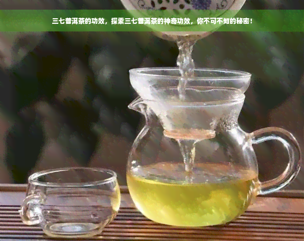 三七普洱茶的功效，探索三七普洱茶的神奇功效，你不可不知的秘密！