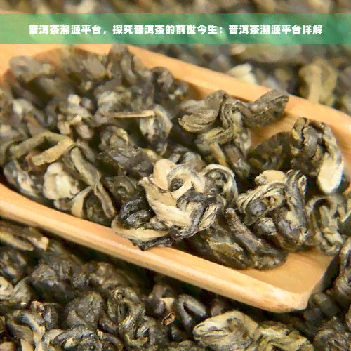 普洱茶溯源平台，探究普洱茶的前世今生：普洱茶溯源平台详解