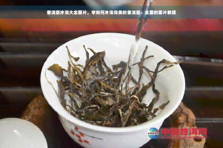 普洱茶冲泡大全图片，学如何冲泡完美的普洱茶：全面的图片教程