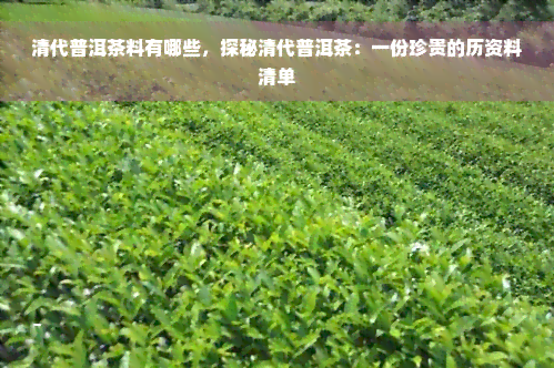 清代普洱茶料有哪些，探秘清代普洱茶：一份珍贵的历资料清单