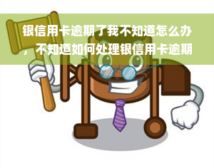 银信用卡逾期了我不知道怎么办，不知道如何处理银信用卡逾期？这份指南能帮到你！