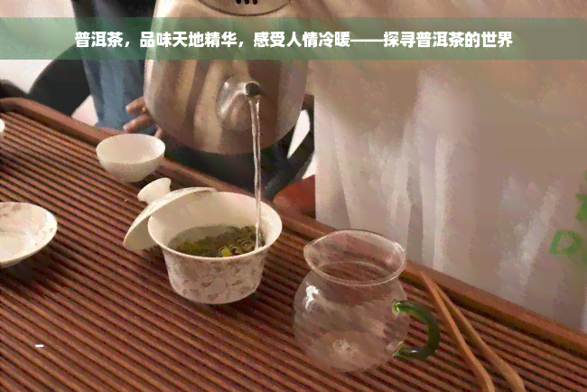 普洱茶，品味天地精华，感受人情冷暖——探寻普洱茶的世界