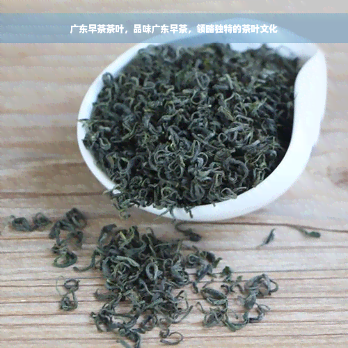 广东早茶茶叶，品味广东早茶，领略独特的茶叶文化