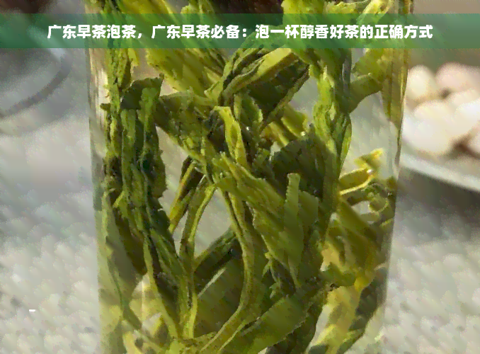 广东早茶泡茶，广东早茶必备：泡一杯醇香好茶的正确方式