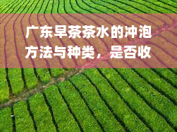 广东早茶茶水的冲泡方法与种类，是否收费及收费标准详解