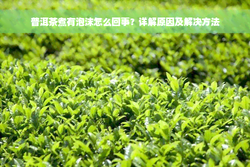 普洱茶煮有泡沫怎么回事？详解原因及解决方法