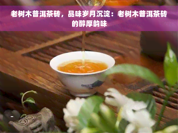 老树木普洱茶砖，品味岁月沉淀：老树木普洱茶砖的醇厚韵味