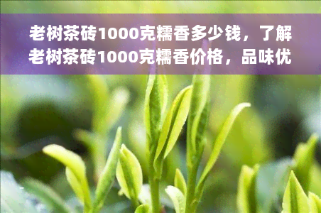 老树茶砖1000克糯香多少钱，了解老树茶砖1000克糯香价格，品味优质茶叶的魅力！