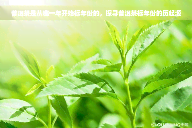 普洱茶是从哪一年开始标年份的，探寻普洱茶标年份的历起源