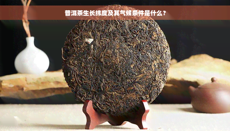 普洱茶生长纬度及其气候条件是什么？