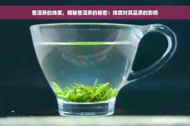 普洱茶的纬度，揭秘普洱茶的秘密：纬度对其品质的影响