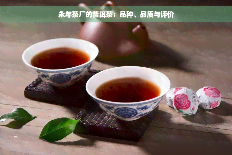 永年茶厂的普洱茶：品种、品质与评价