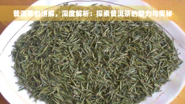 普洱茶的讲解，深度解析：探索普洱茶的魅力与奥秘