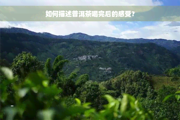 如何描述普洱茶喝完后的感受？