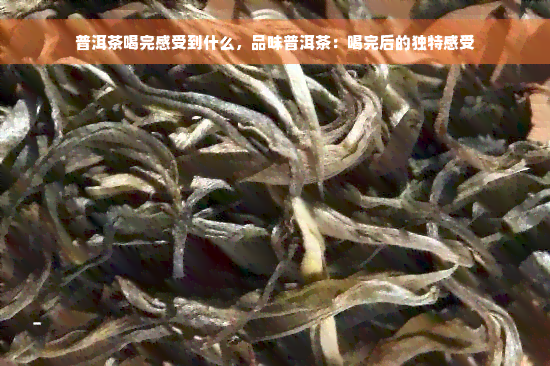 普洱茶喝完感受到什么，品味普洱茶：喝完后的独特感受