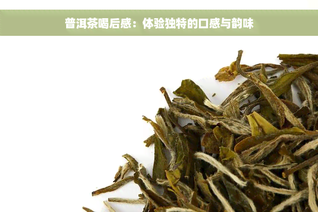 普洱茶喝后感：体验独特的口感与韵味