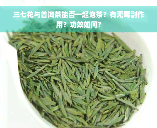 三七花与普洱茶能否一起泡茶？有无毒副作用？功效如何？