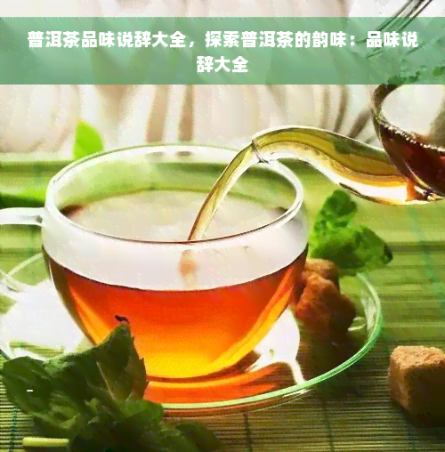 普洱茶品味说辞大全，探索普洱茶的韵味：品味说辞大全