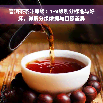 普洱茶茶叶等级：1-9级划分标准与好坏，详解分级依据与口感差异